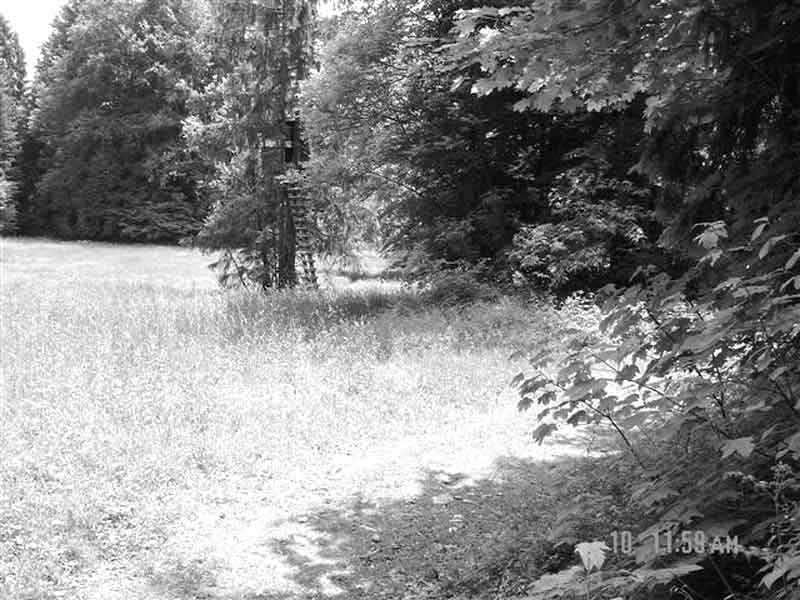 Erika Stengl 2004