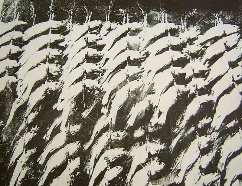 Luise Buisman 2004