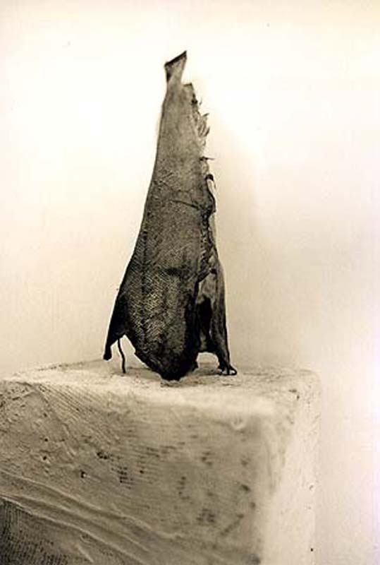 Peter Laminger