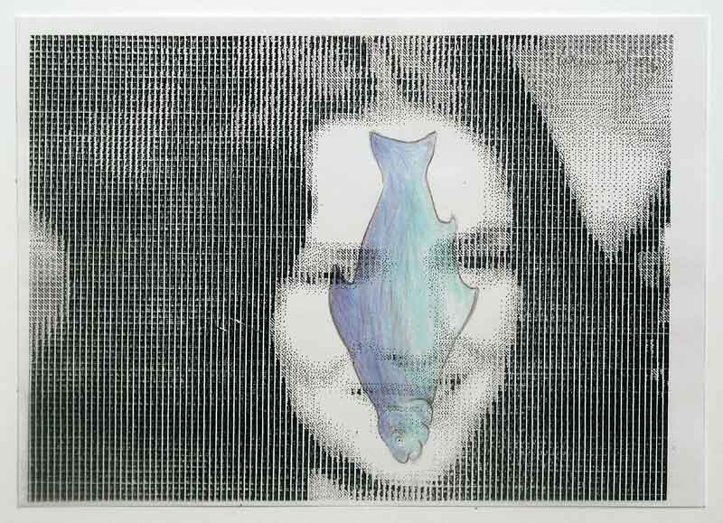 Peter Laminger 2004