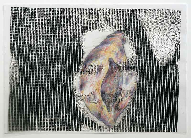 Peter Laminger 2004