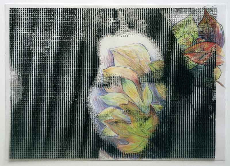 Peter Laminger 2004