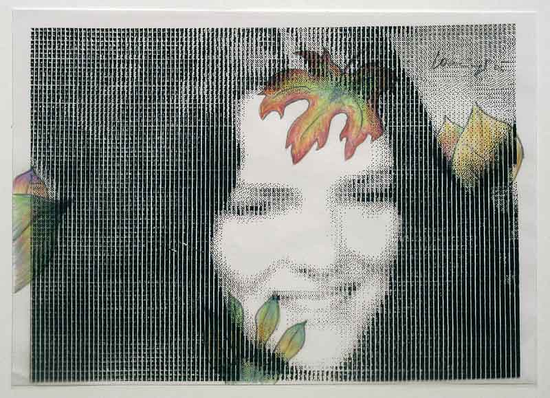 Peter Laminger 2004