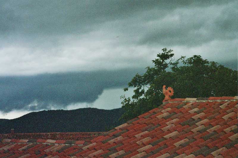 Ali Götz, 2005