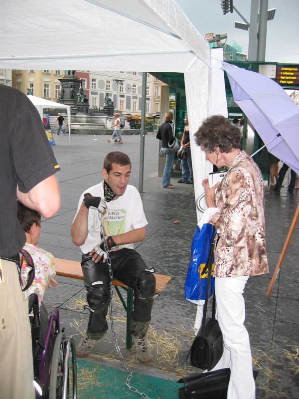 Hans Grasser, 2006