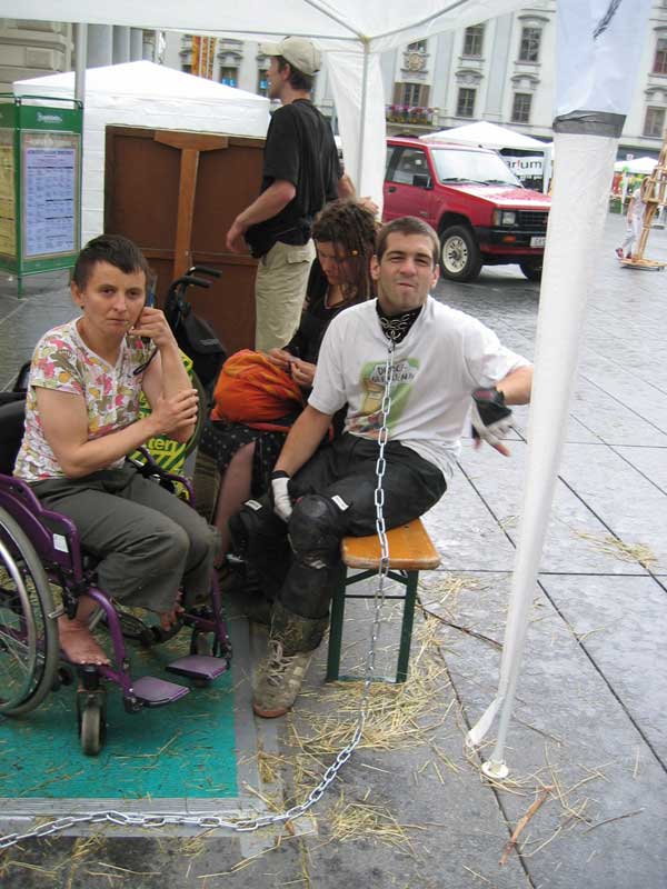 Hans Grasser, 2006