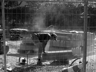 Foto: W.Schütz - CopyLEFT