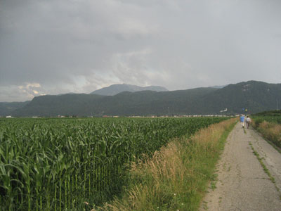 Foto: W.Schütz - CopyLEFT