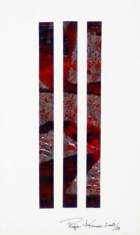 Gerhild Platzer-Kramer, 2007