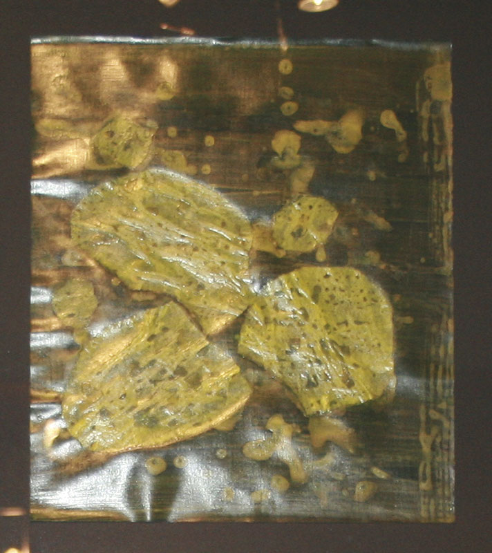 Gerhild Platzer-Kramer, 2007