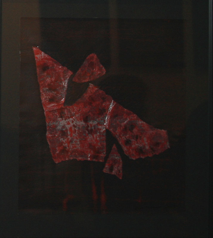 Gerhild Platzer-Kramer, 2007