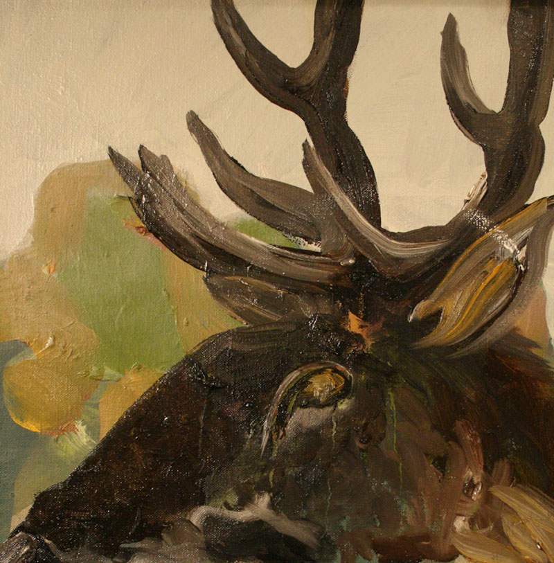 Maria Grimm, 2008