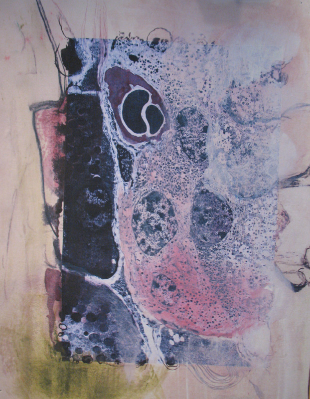 Eveline Heregger, 2009