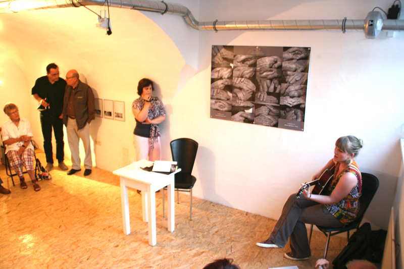 Andreas Schwammel, 2010